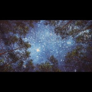 Meet your Posher, Tony